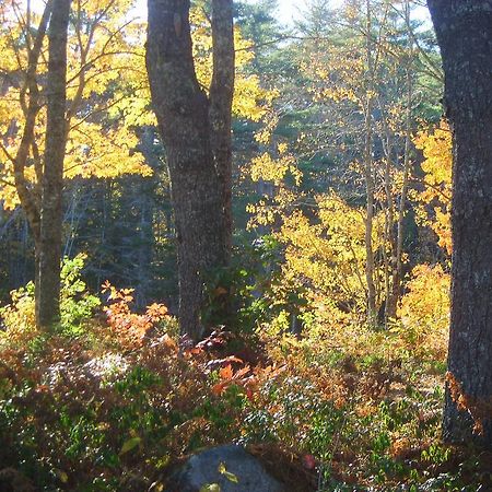 Roseway River Cottages Shelburne Buitenkant foto