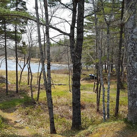 Roseway River Cottages Shelburne Buitenkant foto