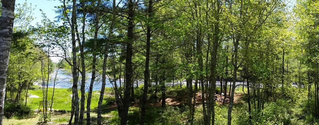 Roseway River Cottages Shelburne Buitenkant foto