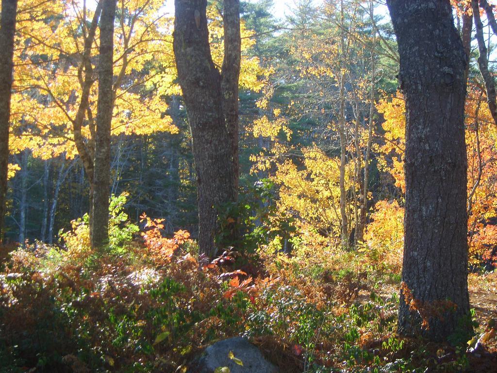 Roseway River Cottages Shelburne Buitenkant foto