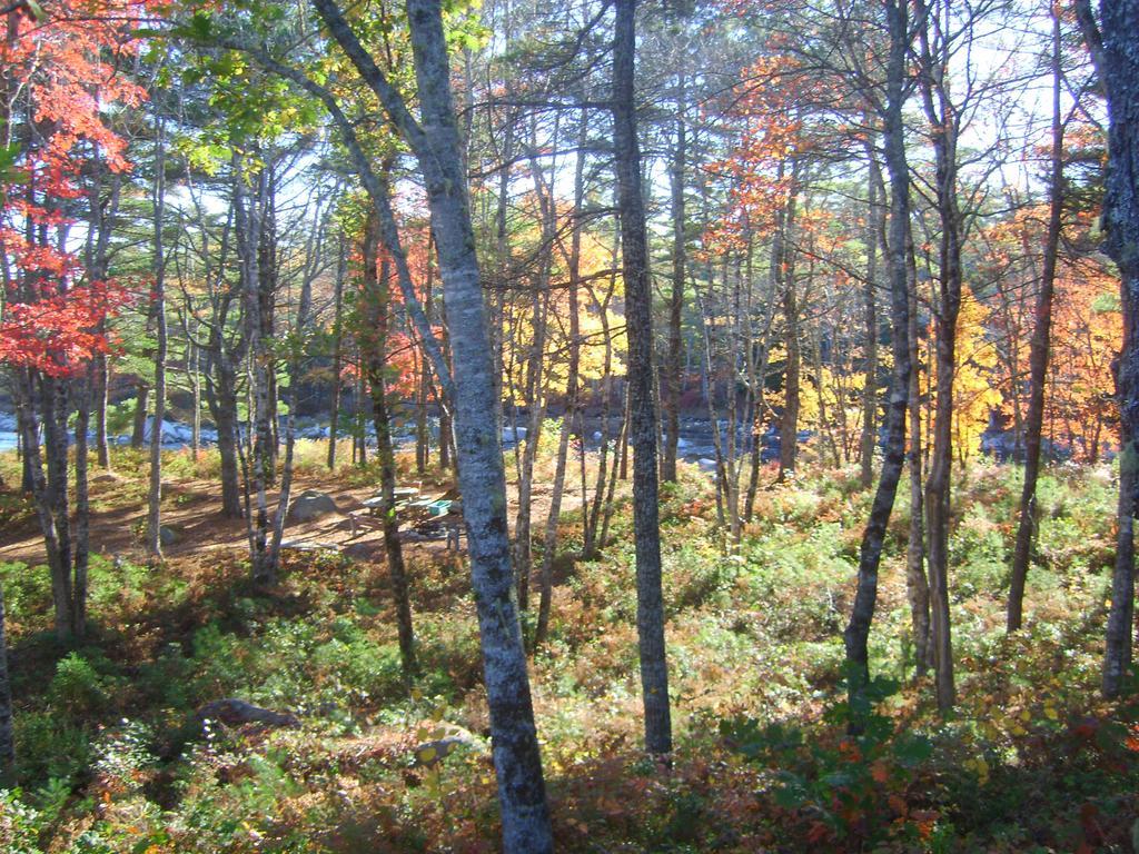 Roseway River Cottages Shelburne Buitenkant foto