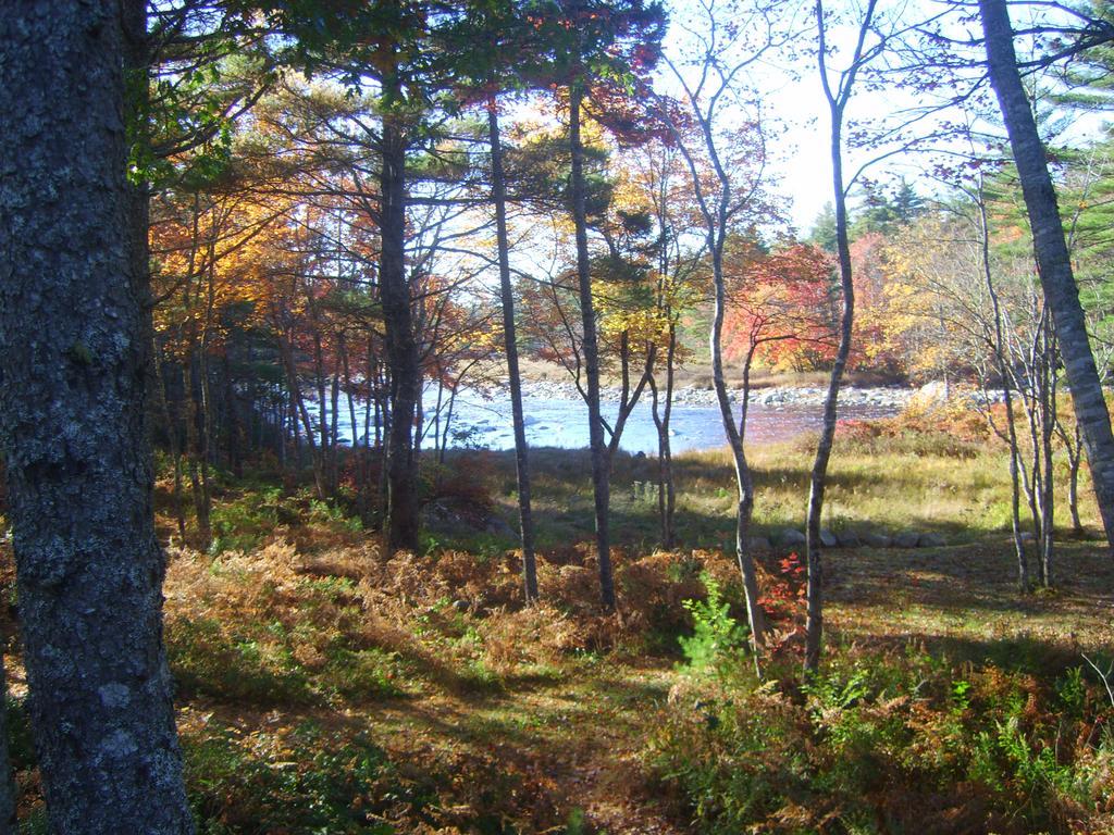 Roseway River Cottages Shelburne Buitenkant foto