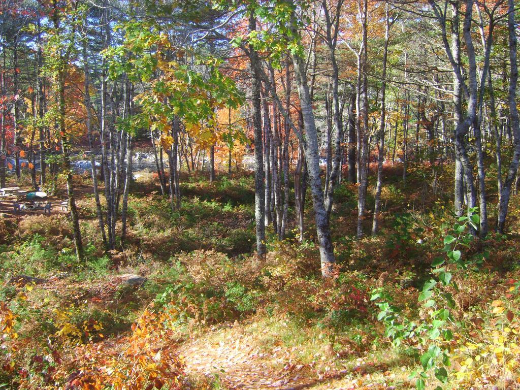 Roseway River Cottages Shelburne Buitenkant foto