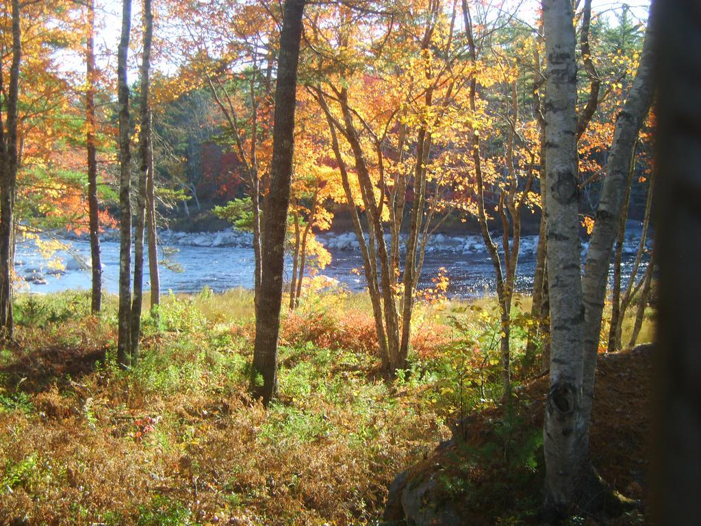 Roseway River Cottages Shelburne Buitenkant foto