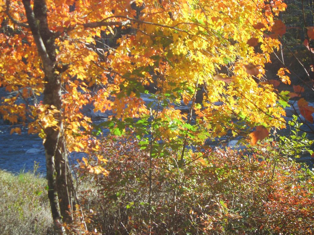 Roseway River Cottages Shelburne Buitenkant foto