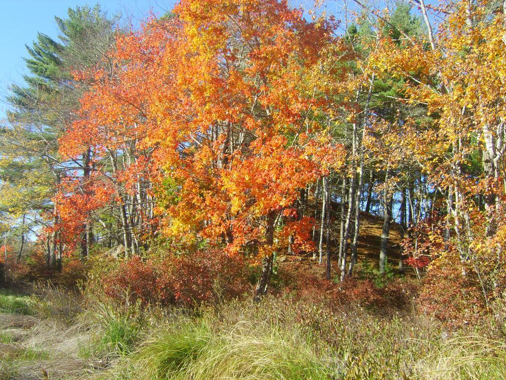 Roseway River Cottages Shelburne Buitenkant foto