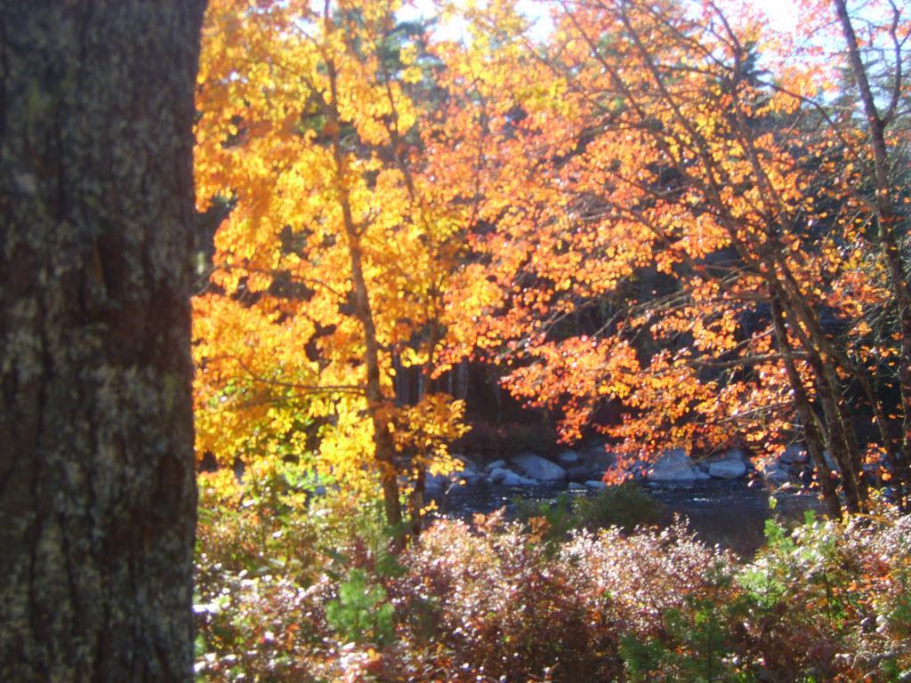 Roseway River Cottages Shelburne Buitenkant foto