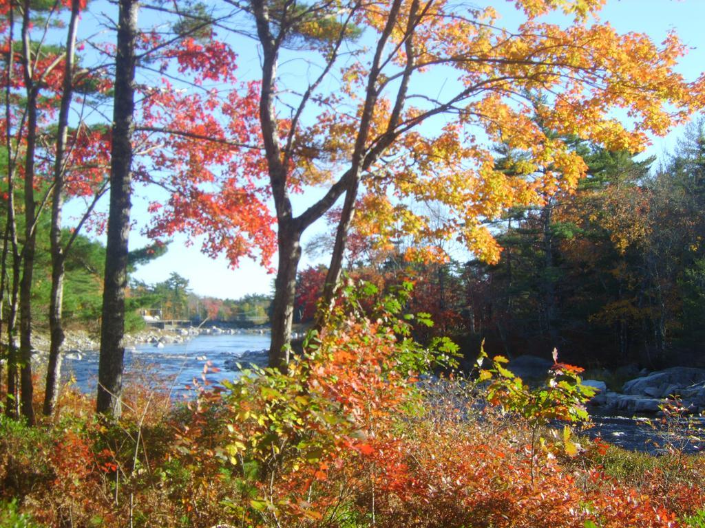 Roseway River Cottages Shelburne Buitenkant foto